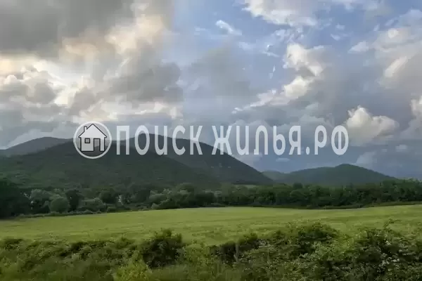 «Морской Бриз», Криница