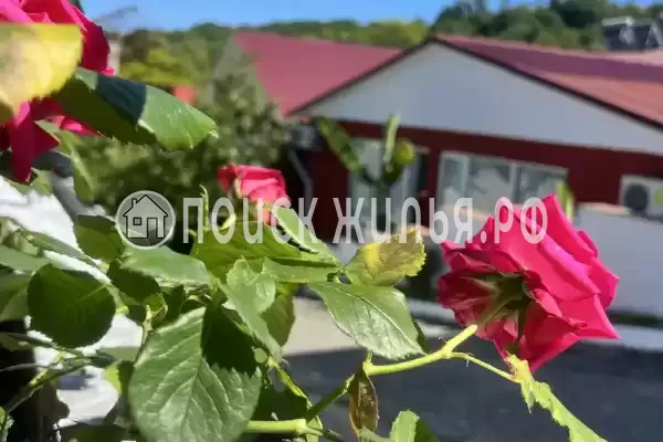 «Баунти», Вардане «Баунти», Вардане