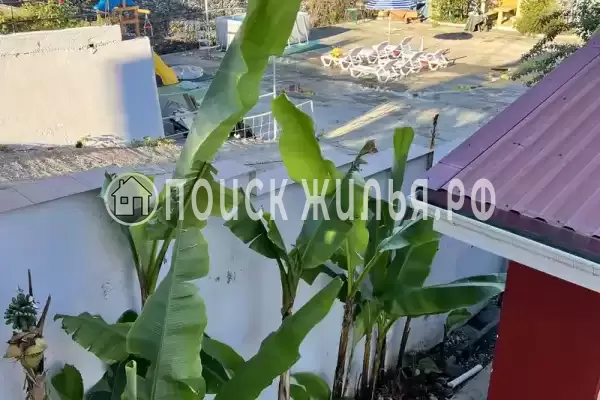 «Баунти», Вардане «Баунти», Вардане