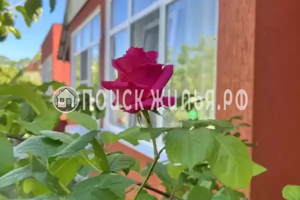 «Баунти», Вардане «Баунти», Вардане