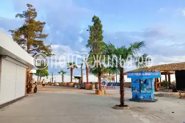 «Баунти», Вардане «Баунти», Вардане