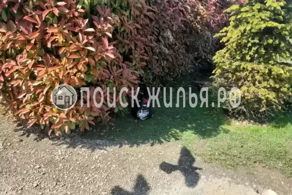 Частный сектор «Грин Сейл Парк», Сириус