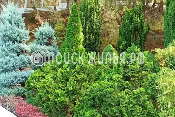 «Морской-клуб», Дивноморское