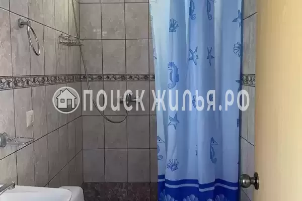 «Арго», Лазаревское