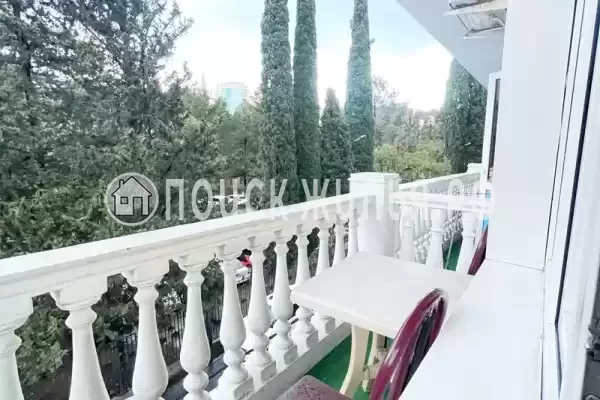 «Камелия 2», Адлер