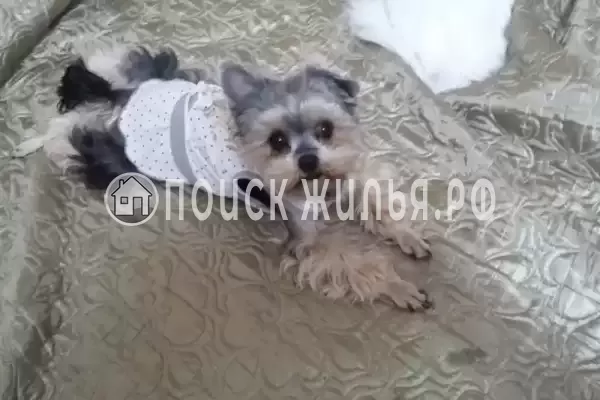 Частный сектор «Антонина», Геленджик