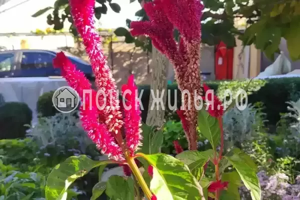 Частный сектор «Малиновая, 10», Севастополь