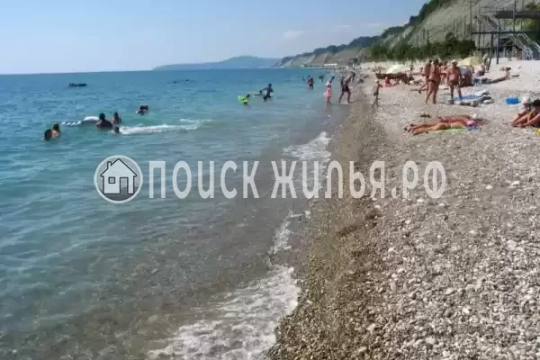 «Дельфин», Шепси «Дельфин», Шепси