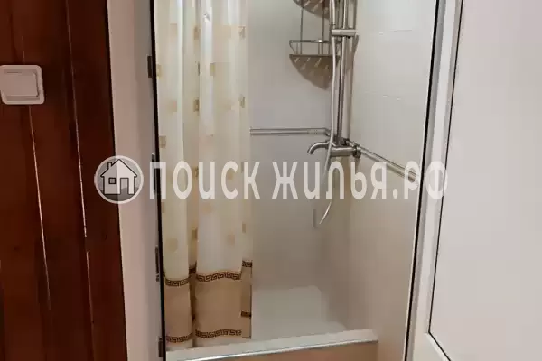 «Дельфин», Шепси «Дельфин», Шепси