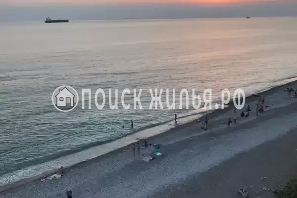 «Дельфин», Шепси «Дельфин», Шепси