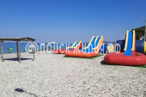 «Дельфин», Шепси «Дельфин», Шепси