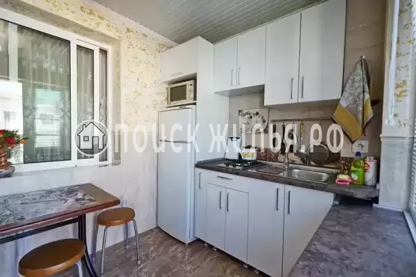 «Дельфин», Шепси «Дельфин», Шепси