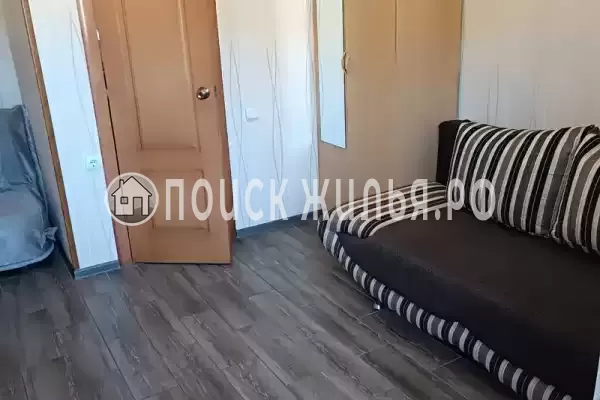 «Дельфин», Шепси «Дельфин», Шепси