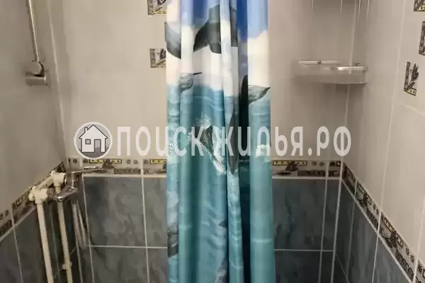 «Дельфин», Шепси «Дельфин», Шепси