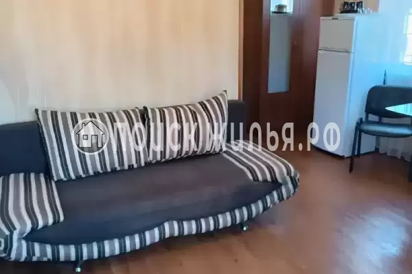 «Дельфин», Шепси «Дельфин», Шепси