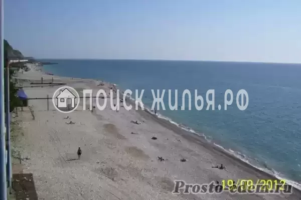 «Дельфин», Шепси «Дельфин», Шепси