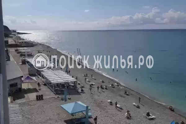 «Дельфин», Шепси «Дельфин», Шепси