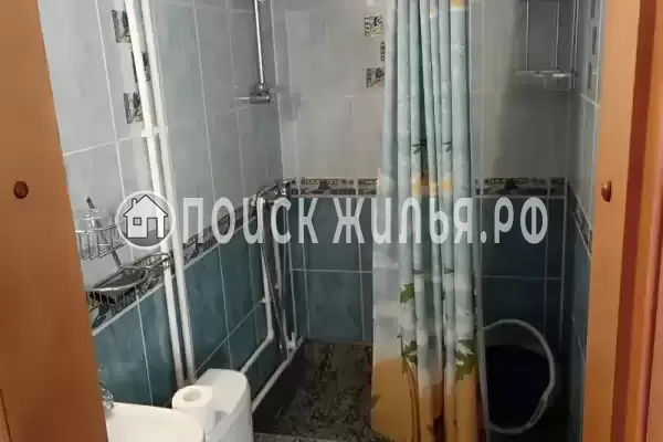 «Дельфин», Шепси «Дельфин», Шепси