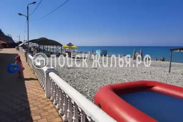 «Дельфин», Шепси «Дельфин», Шепси