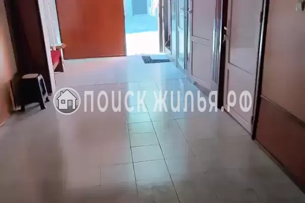 «Дельфин», Шепси «Дельфин», Шепси