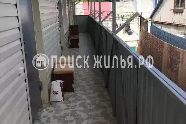 «Дельфин», Шепси «Дельфин», Шепси