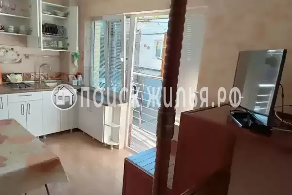 «Дельфин», Шепси «Дельфин», Шепси