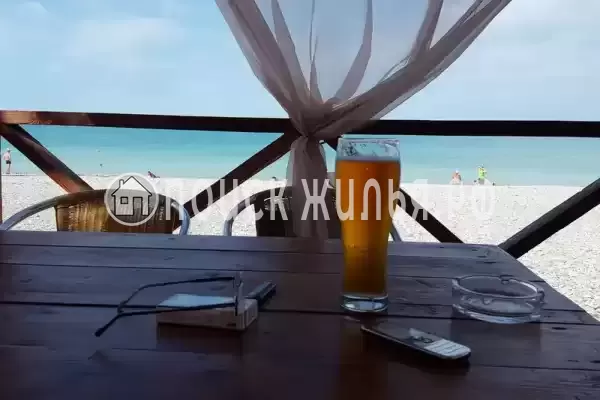 «Дельфин», Шепси «Дельфин», Шепси