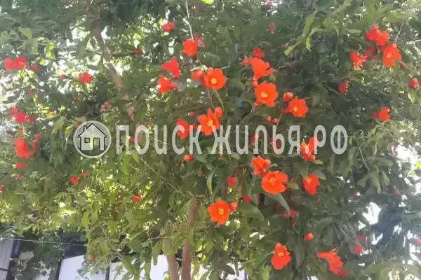 «Sun-City», Лазаревское