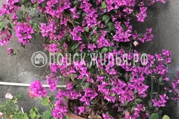 Гостевой дом «На Ленина 67», Цандрипш Гостевой дом «На Ленина 67», Цандрипш