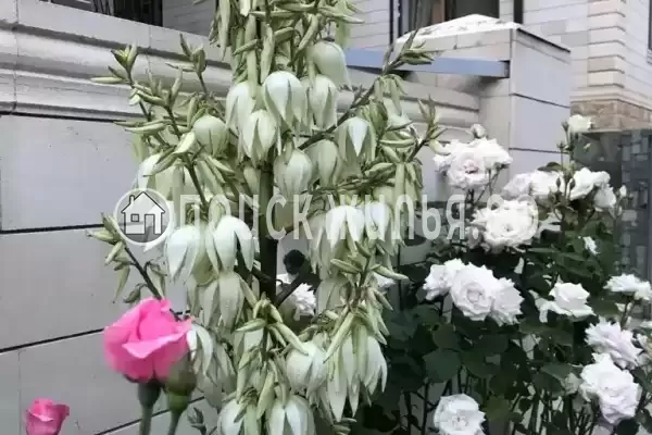 Частный сектор «Частный дом на Короленко», Геленджик