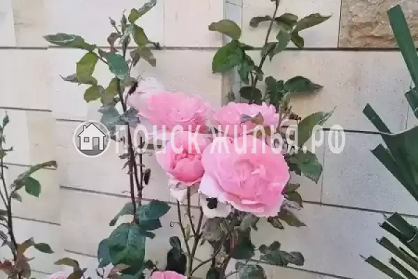 Частный сектор «Частный дом на Короленко», Геленджик