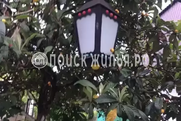 Гостевой дом «Бриз», Гагра Гостевой дом «Бриз», Гагра