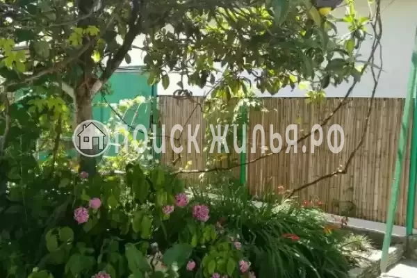 Гостевой дом «Бриз», Гагра Гостевой дом «Бриз», Гагра