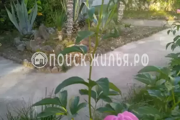 Гостевой дом «Бриз», Гагра Гостевой дом «Бриз», Гагра