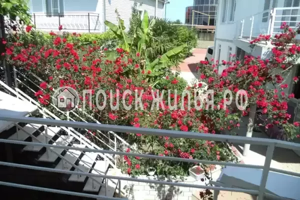 «Итинисан», Адлер