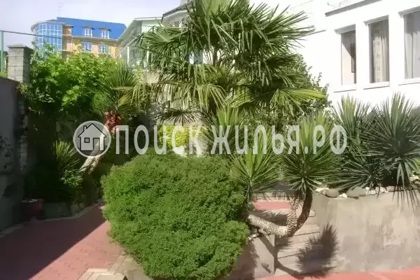 «Итинисан», Адлер