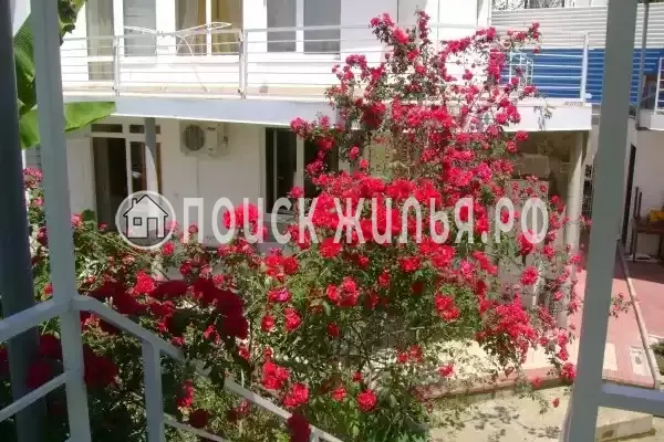 «Итинисан», Адлер