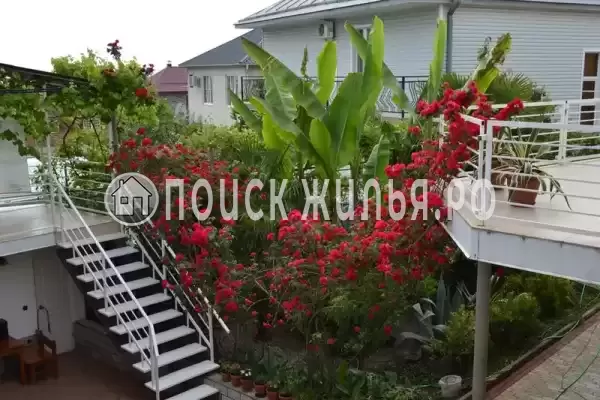 «Итинисан», Адлер