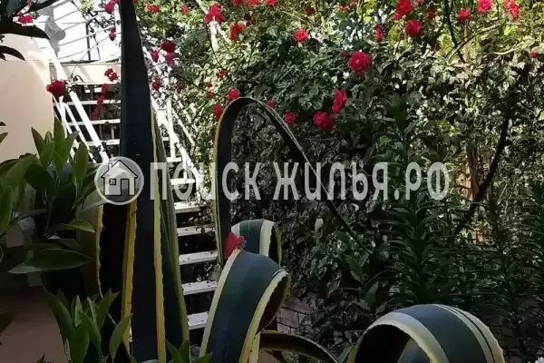 «Итинисан», Адлер