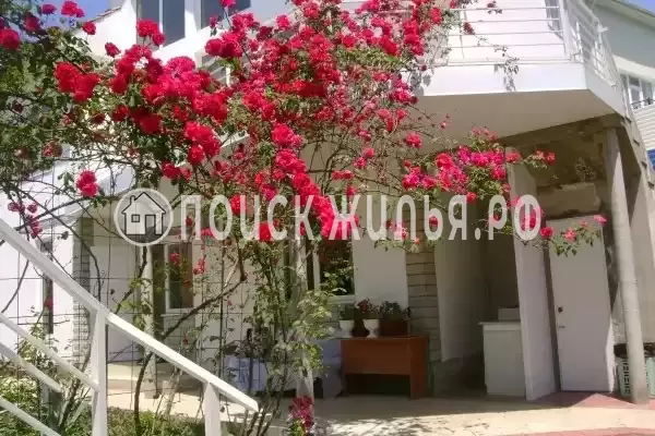 «Итинисан», Адлер