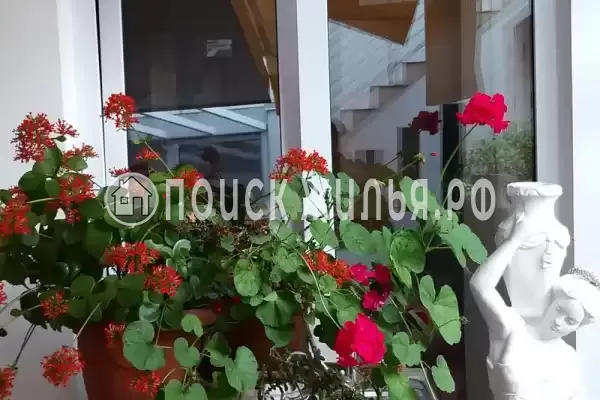 «Итинисан», Адлер