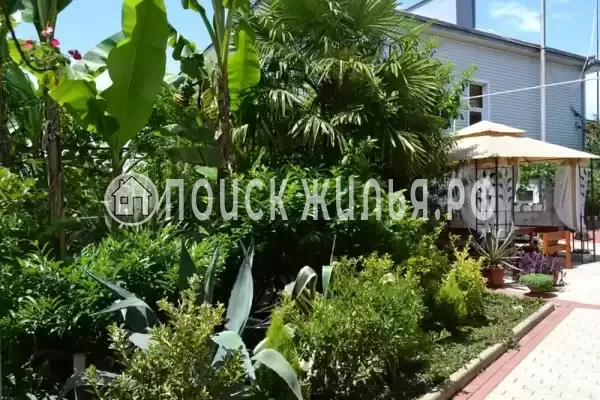 «Итинисан», Адлер