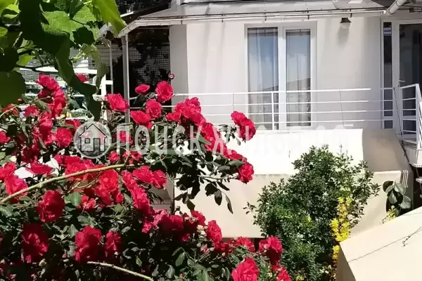 «Итинисан», Адлер