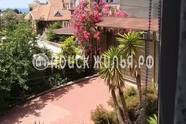 «Итинисан», Адлер