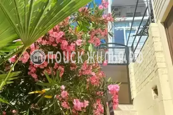 «Эльмар», Лазаревское «Эльмар», Лазаревское