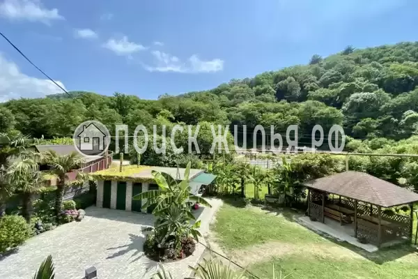 «Зеленый рай», Солоники