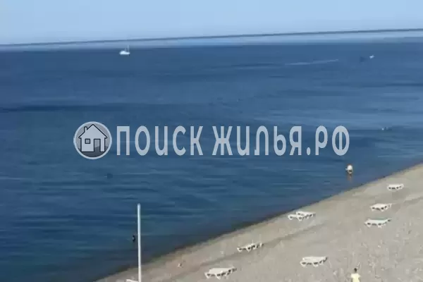 «Зеленый рай», Солоники