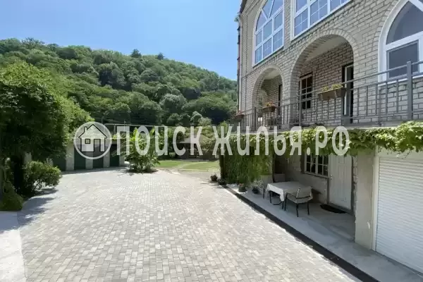 «Зеленый рай», Солоники