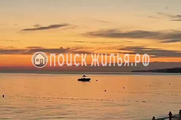 «Зеленый рай», Солоники