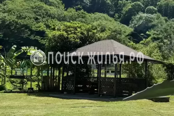 «Зеленый рай», Солоники